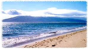 The Beach RIGHT ACROSS THE STREET from this LARGE, affordable Maui beach house vacation rental.